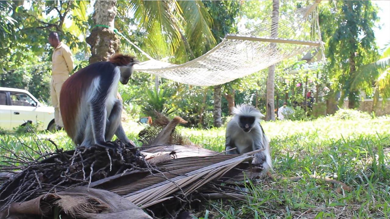Jozani Biosphere Village ภายนอก รูปภาพ